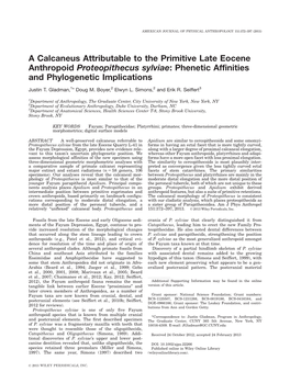 A Calcaneus Attributable to the Primitive Late Eocene Anthropoid Proteopithecus Sylviae: Phenetic Affinities and Phylogenetic Implications