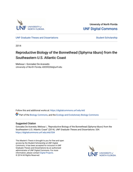 Reproductive Biology of the Bonnethead (Sphyrna Tiburo) from the Southeastern U.S