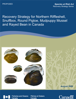 Recovery Strategy for Northern Riffleshell (Epioblasma Torulosa