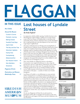 Lost Houses of Lyndale Street