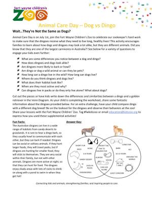 Animal Care Day – Dog Vs Dingo
