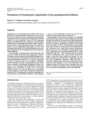 Persistence of Rhombomeric Organisation in the Postsegmental Hindbrain