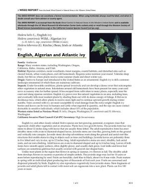 Hedera Helix L.; English Ivy Hedera Canariensis Willd.; Algerian Ivy (= H