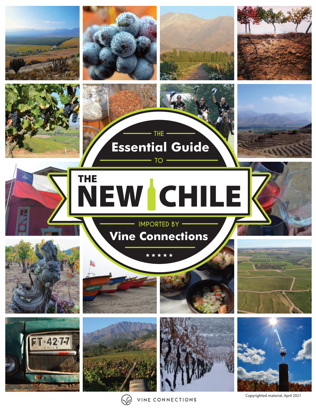 New Chile Essential Guide