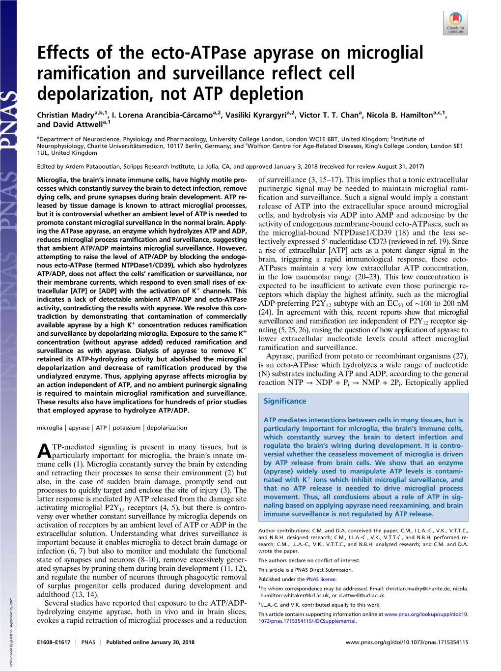 Effects of the Ecto-Atpase Apyrase on Microglial Ramification and Surveillance Reflect Cell Depolarization, Not ATP Depletion