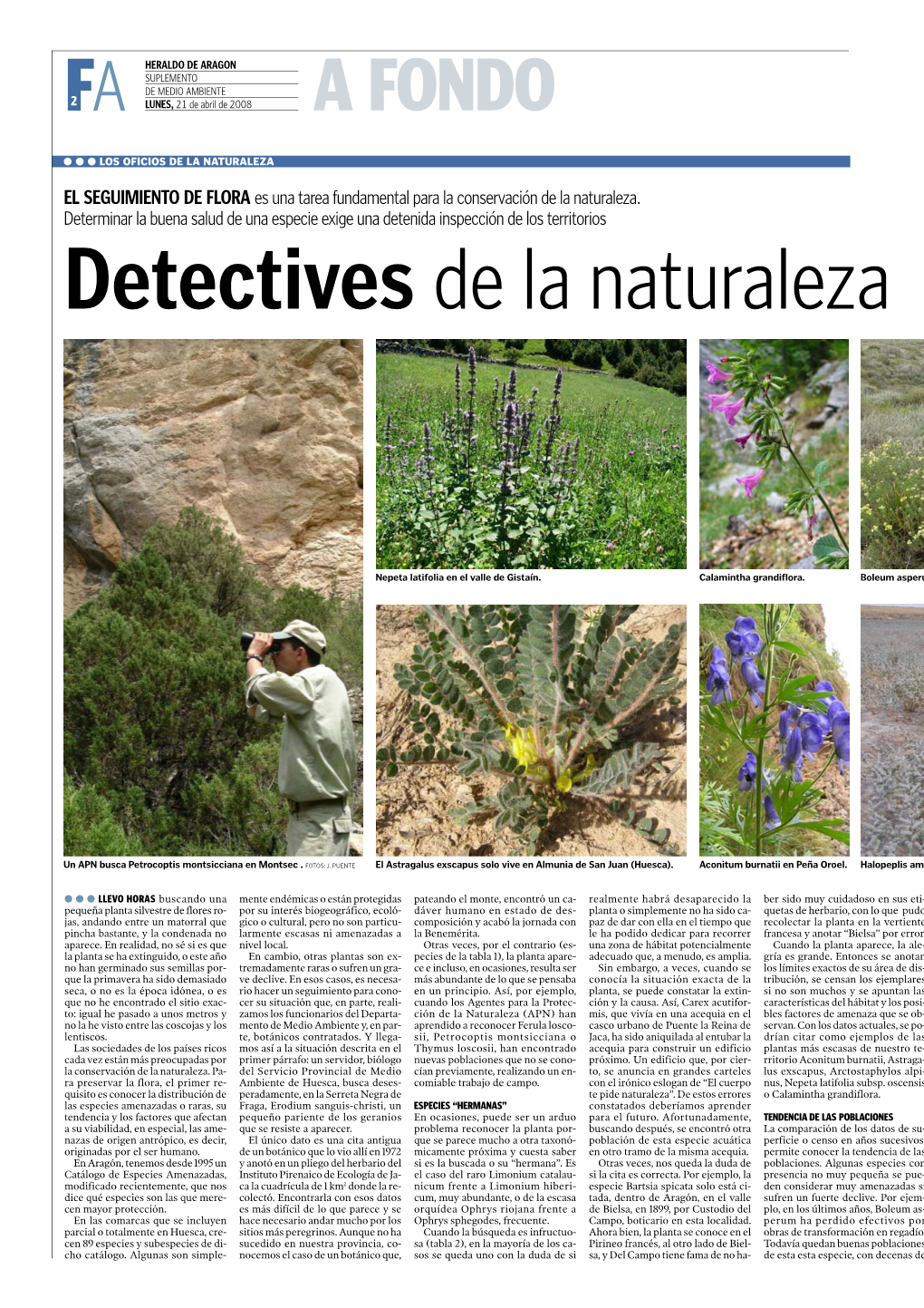 El Seguimiento De Flora. Detectives De La Naturaleza