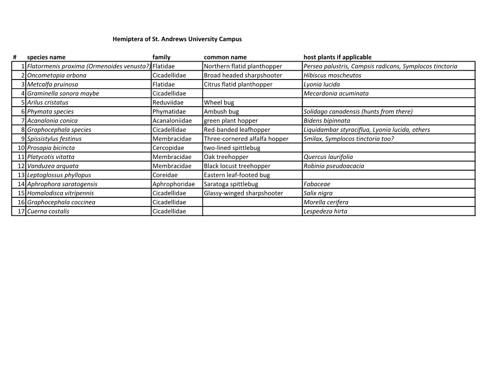 Hemiptera of St. Andrews University Campus