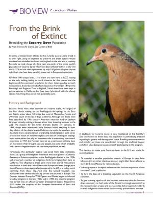 Of Extinct Rebuilding the Socorro Dove Population by Peter Shannon, Rio Grande Zoo Curator of Birds