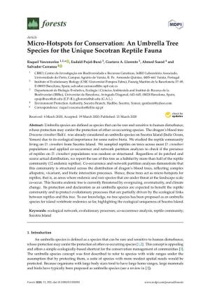 An Umbrella Tree Species for the Unique Socotran Reptile Fauna