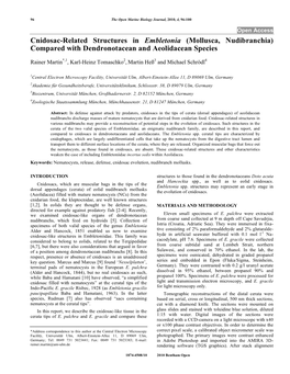 Cnidosac-Related Structures in Embletonia (Mollusca, Nudibranchia) Compared with Dendronotacean and Aeolidacean Species