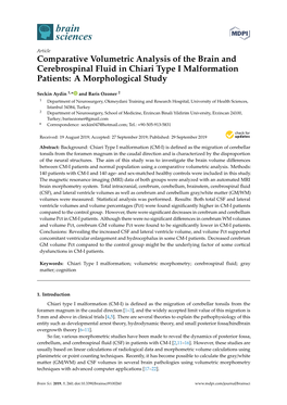 Comparative Volumetric Analysis of the Brain and Cerebrospinal Fluid in Chiari Type I Malformation Patients: a Morphological Study