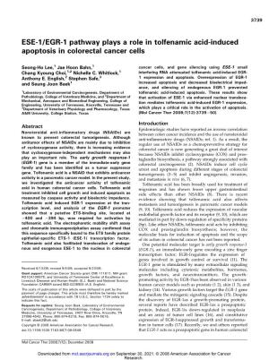 ESE-1/EGR-1 Pathway Plays a Role in Tolfenamic Acid-Induced Apoptosis in Colorectal Cancer Cells