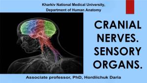 Cranial Nerves. Sensory Organs