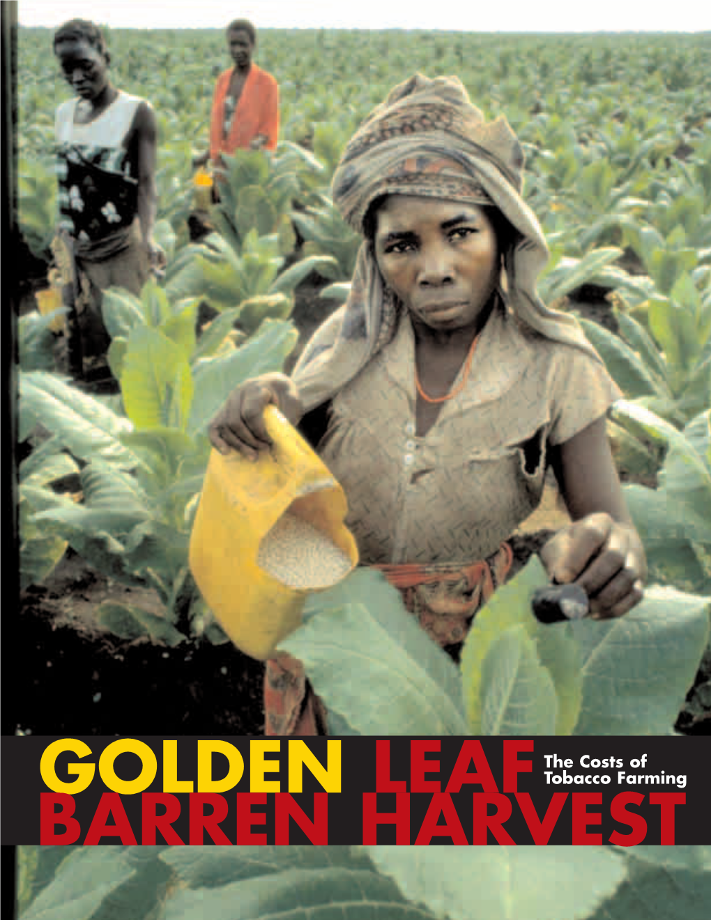 Golden Leaf Barren Harvest