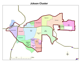 Jckson Cluster