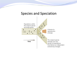 Species and Speciation 1