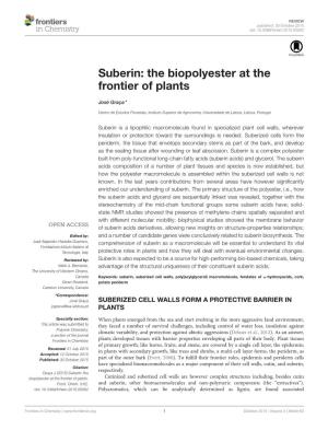 Suberin: the Biopolyester at the Frontier of Plants