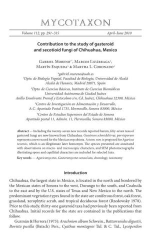 Contribution to the Study of Gasteroid and Secotioid Fungi of Chihuahua, Mexico