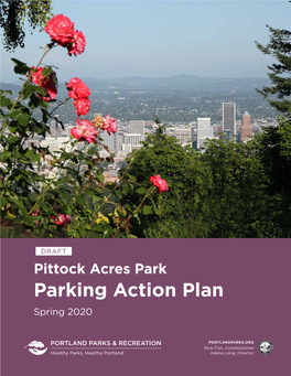 Parking Action Plan Spring 2020