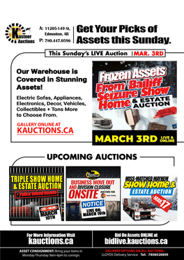 Frozen Assets from Bailiff Seizure & Show Home Auction 3/3/2019