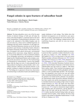 Fungal Colonies in Open Fractures of Subseafloor Basalt