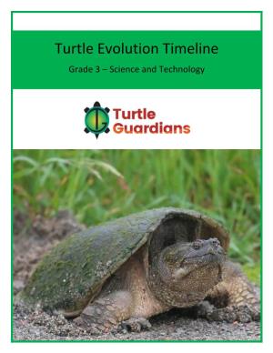 Turtle Evolution Timeline