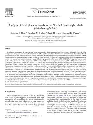 Analysis of Fecal Glucocorticoids in the North Atlantic Right Whale (Eubalaena Glacialis)