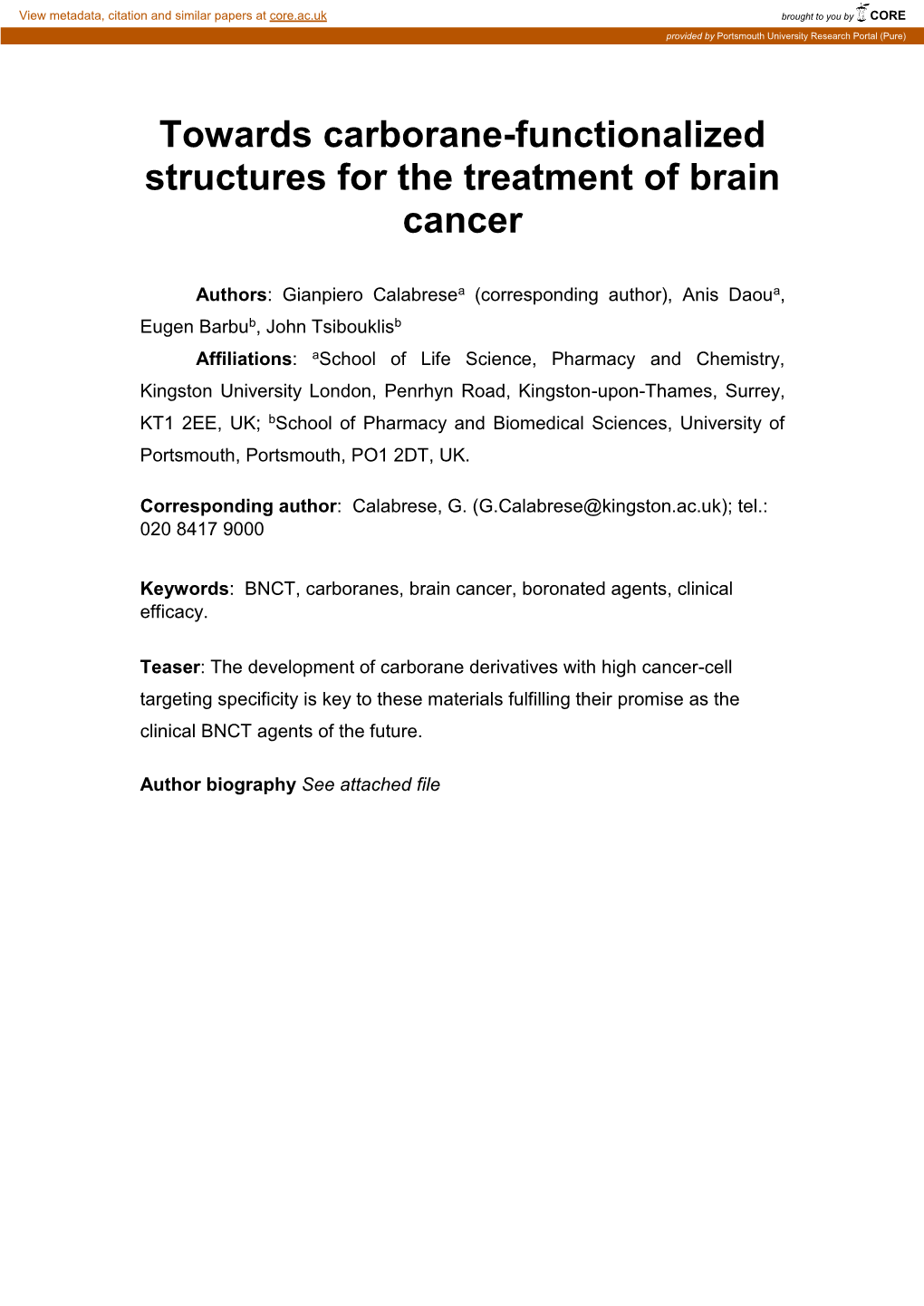 Towards Carborane-Functionalized Structures for the Treatment of Brain Cancer