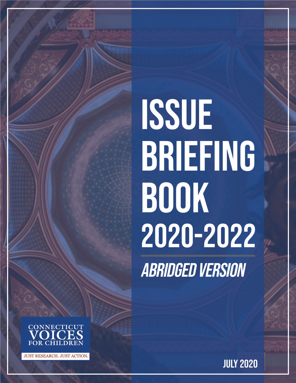 1 Issue Briefing Book