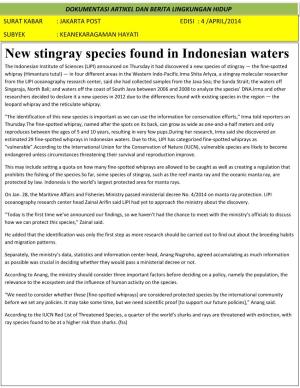 New Stingray Species Found in Indonesian Waters