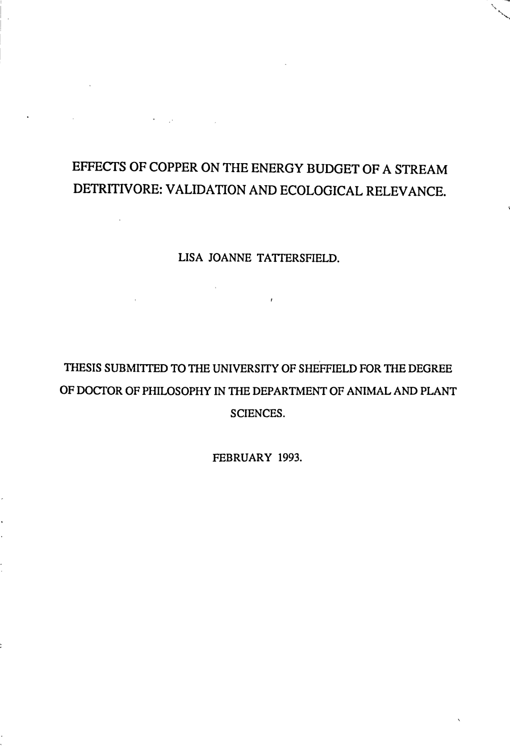 Effects of Copper on the Energy Budget of a Stream Detritivore: Validation and Ecological Relevance