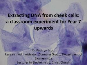 Extracting DNA from Cheek Cells: a Classroom Experiment for Year 7 Upwards