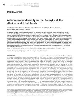 Y-Chromosome Diversity in the Kalmyks at the Ethnical and Tribal Levels