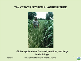 The VETIVER SYSTEM in AGRICULTURE