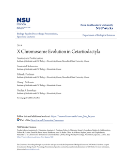 X Chromosome Evolution in Cetartiodactyla Anastasiya A