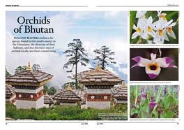 Orchids of Bhutan Susanne Masters Outlines the Species Found in This Small Country In