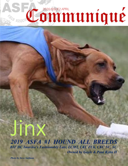 2019 ASFA #1 HOUND ALL BREEDS BIF DC Imarika’S Fashionably Late, LCM2, CKC Fch, CKC NC, SC