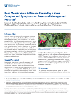 Rose Mosaic Virus: a Disease Caused by a Virus Complex and Symptoms on Roses and Management Practices1 Susannah Da Silva, Binoy Babu, Mathews L