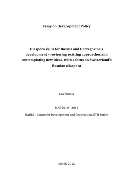 Essay on Development Policy Diaspora Skills for Bosnia And