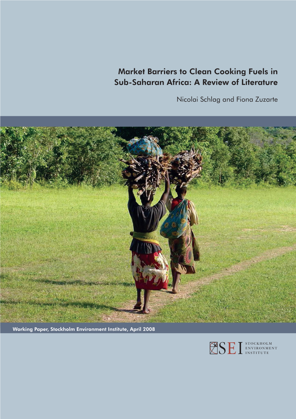 Market Barriers to Clean Cooking Fuels in Sub-Saharan Africa: a Review of Literature