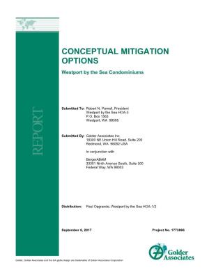 Conceptual Mitigation Options, Golder Associates, 2017 (.Pdf)