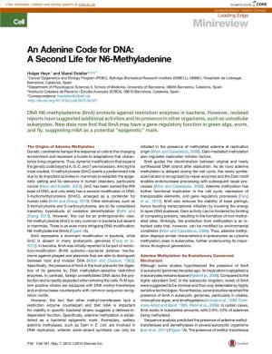 An Adenine Code for DNA: a Second Life for N6-Methyladenine