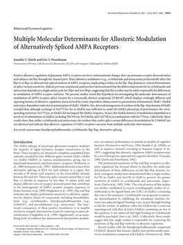Multiple Molecular Determinants for Allosteric Modulation of Alternatively Spliced AMPA Receptors