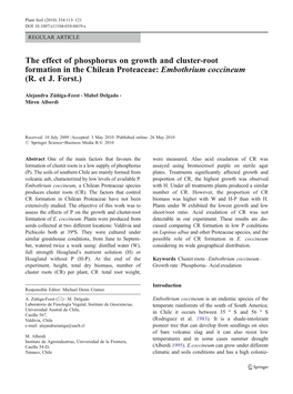 The Effect of Phosphorus on Growth and Cluster-Root Formation in the Chilean Proteaceae: Embothrium Coccineum (R