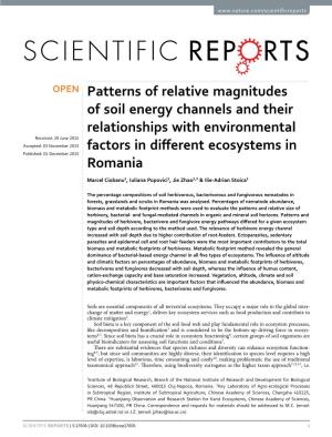 Patterns of Relative Magnitudes of Soil Energy Channels and Their