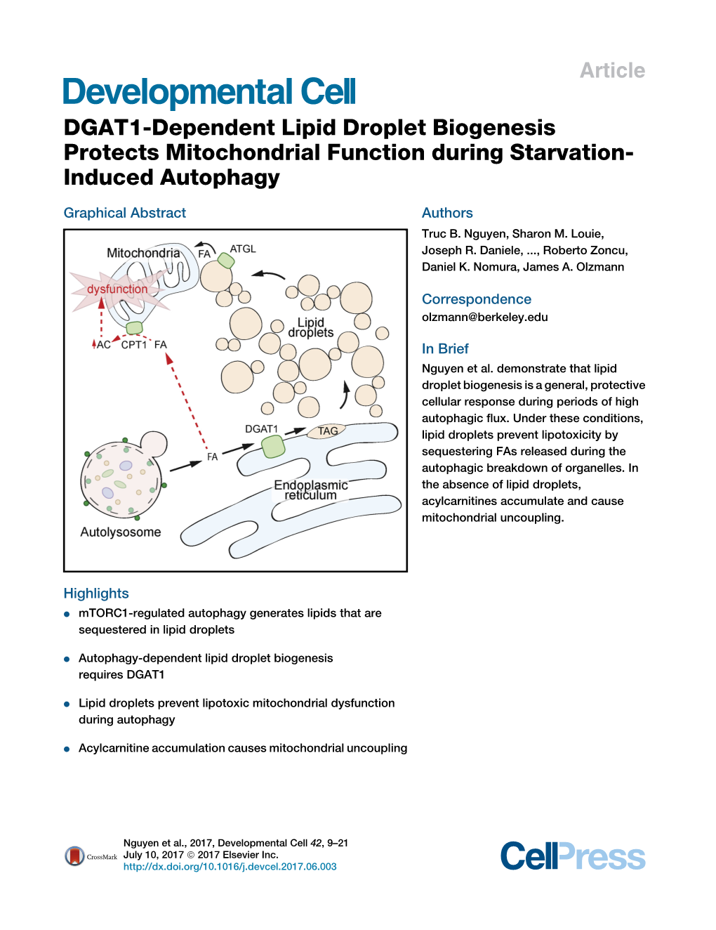 DGAT1-Dependent Lipid Droplet Biogenesis Protects Mitochondrial Function During Starvation- Induced Autophagy