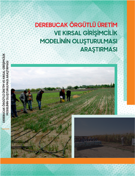 Derebucak Örgütlü Üretim Ve Kirsal Girişimcilik Modelinin