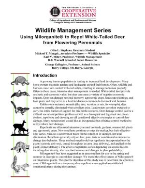 Wildlife Management Series: Using Milorganite to Repel White-Tailed Deer from Flowering Perennials