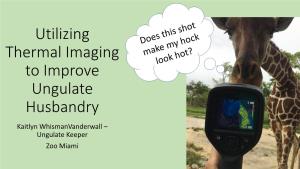 Utilizing Thermal Imaging to Improve Ungulate Husbandry Kaitlyn Whismanvanderwall – Ungulate Keeper Zoo Miami Overview