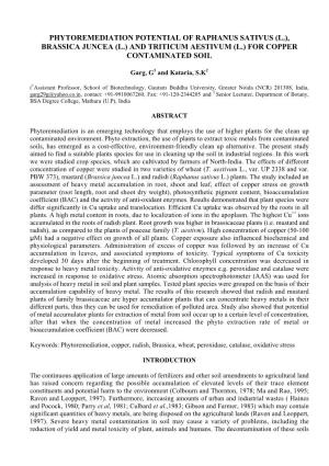 Phytoremediation Potential of Raphanus Sativus (L.), Brassica Juncea (L.) and Triticum Aestivum (L.) for Copper Contaminated Soil